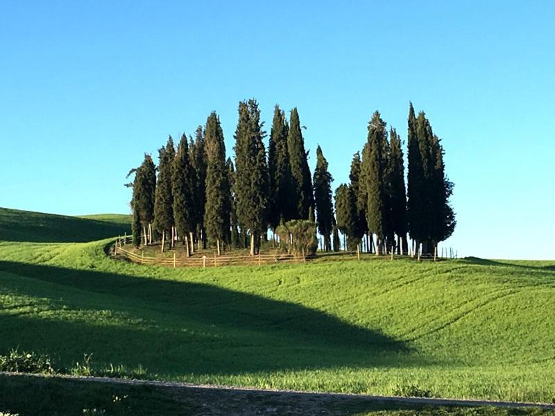 Camera La Margherita San Quirico d'Orcia Bagian luar foto